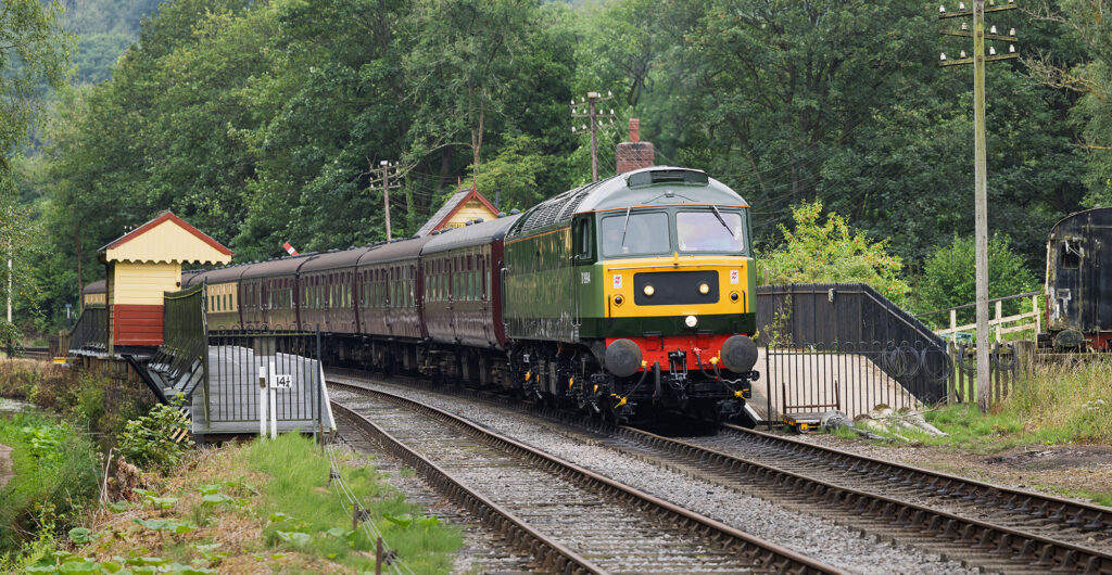 History Back To Life