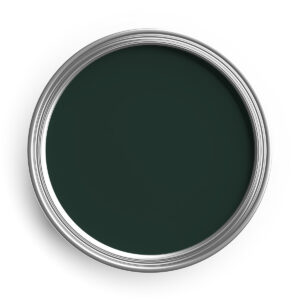 BR Spec 81 Item 229 -Top Coat Finish -Brunswick Green - 8108181229